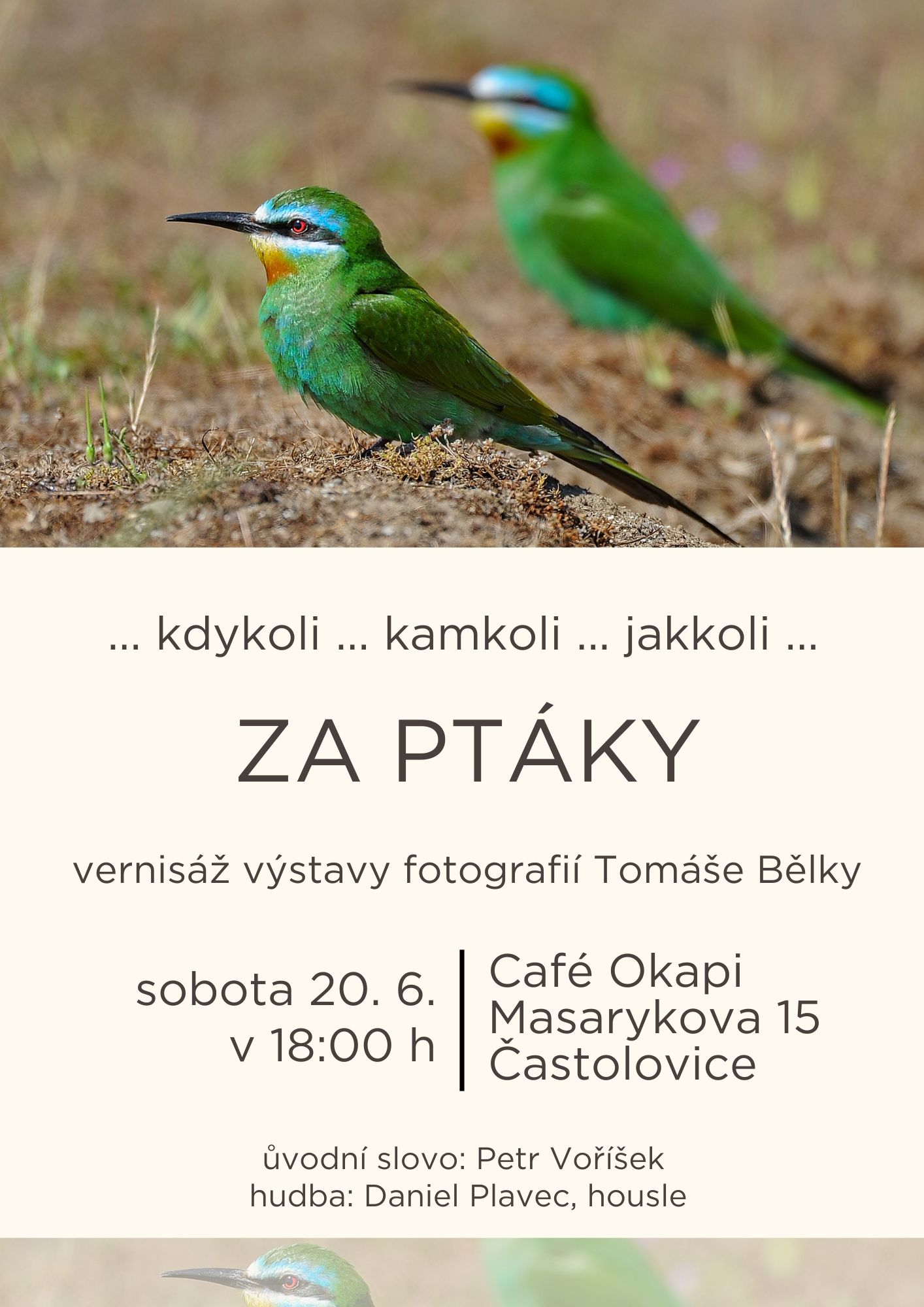 ZA PTÁKY